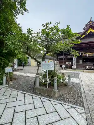 矢奈比賣神社（見付天神）(静岡県)