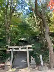 徳光院の鳥居