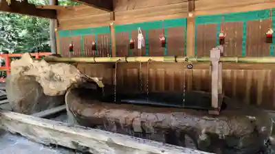 賀茂御祖神社（下鴨神社）(京都府)