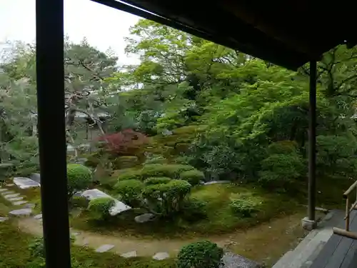 宝鏡寺の庭園