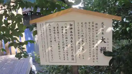 鎮守氷川神社(埼玉県)