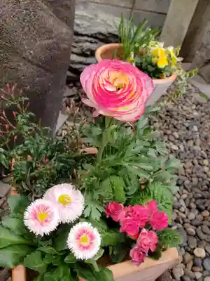 飯倉熊野神社(東京都)