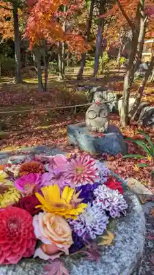 勝林寺(京都府)