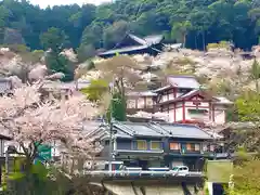 長谷寺の建物その他