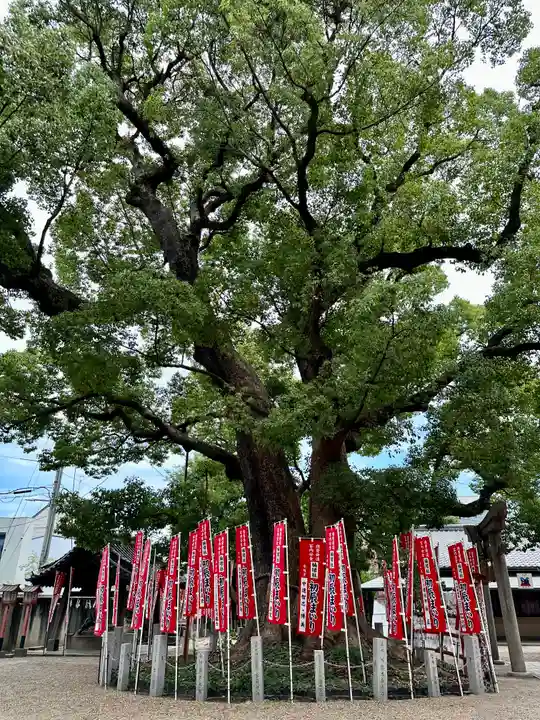 住吉大社の自然
