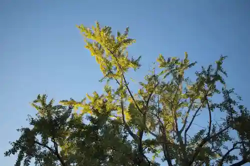 三囲神社の自然