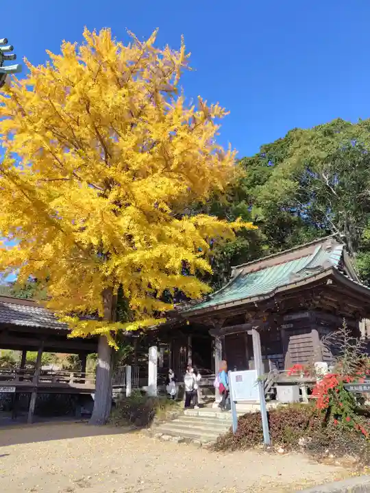村松虚空蔵堂(日高寺)(茨城県)