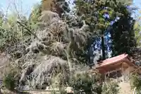 関場神社の景色