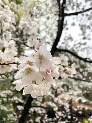 難波八阪神社(大阪府)