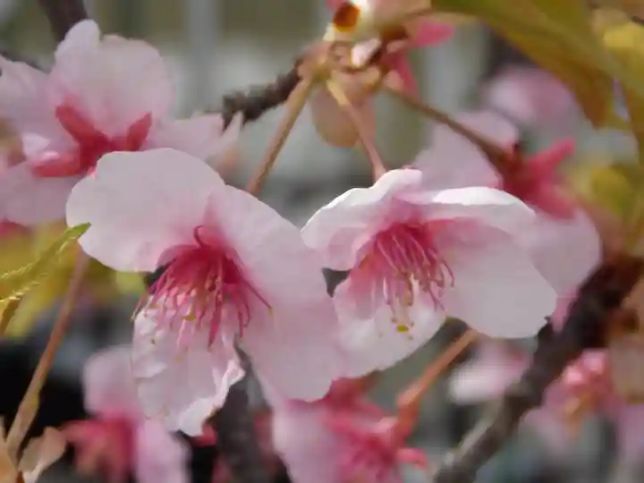 宝戒寺(神奈川県)