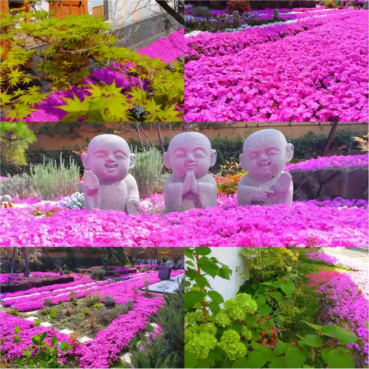 寿量山 速成寺(奈良県)