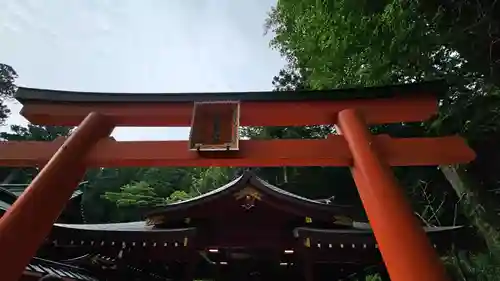 箱根神社(神奈川県)