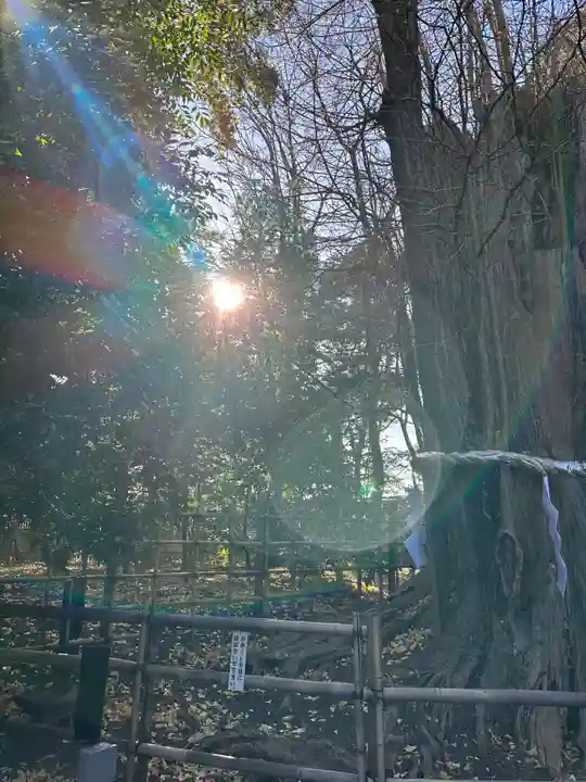大國魂神社(東京都)