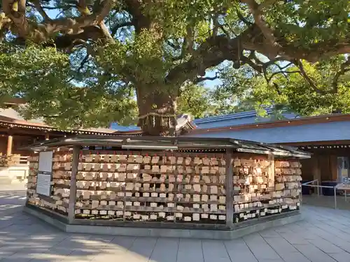 明治神宮(東京都)