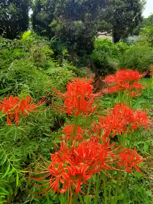 陽林寺(福島県)