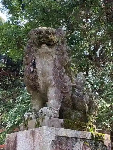 春日大社(奈良県)