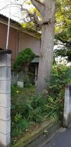 戸ヶ崎稲荷大明神の自然