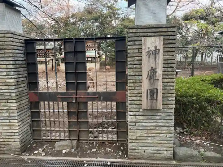 三嶋大社(静岡県)