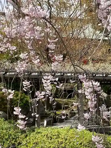 城南宮(京都府)