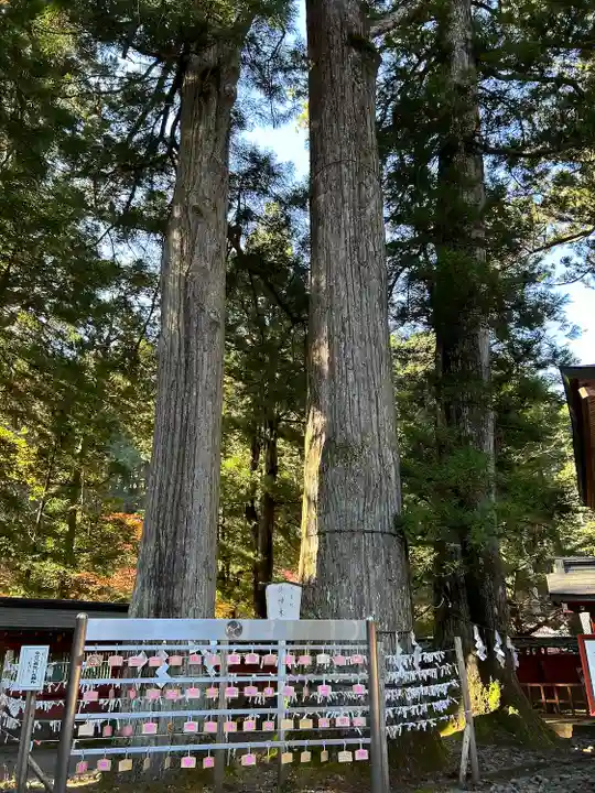 日光二荒山神社(栃木県)