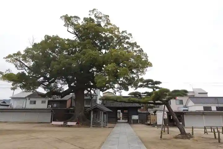 長尾寺(香川県)