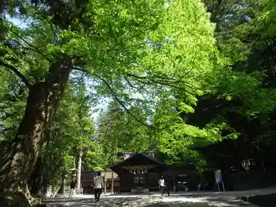 諏訪大社下社秋宮(長野県)