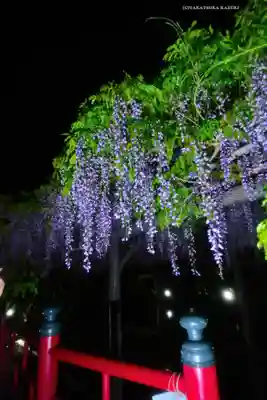亀戸天神社(東京都)