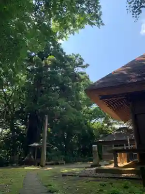 宝珠院観音堂(千葉県)