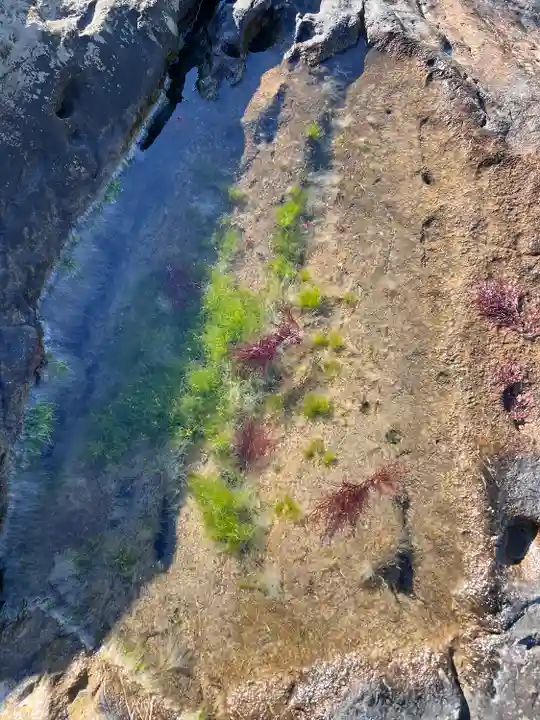 洲崎神社(千葉県)