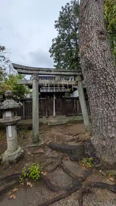 御霊神社(上御霊神社)(京都府)