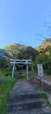 瀧神社(都農神社末社(奥宮))(宮崎県)