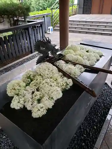 熊野神社(東京都)