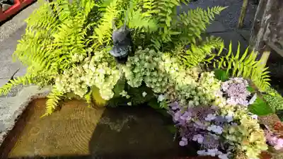 出雲大神宮の手水舎