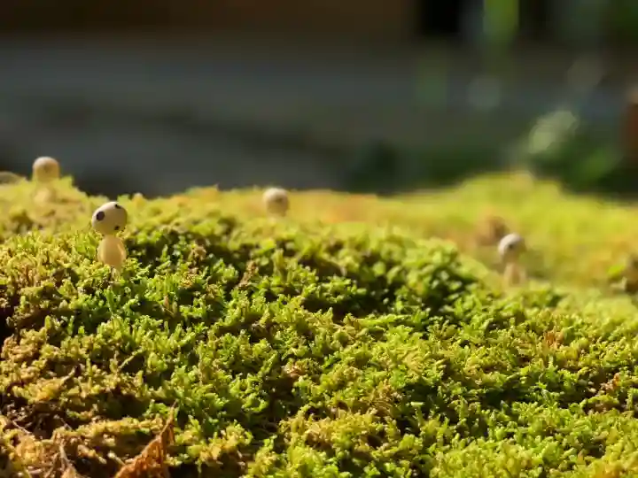 陽運寺(東京都)