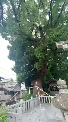 大社神社(愛知県)