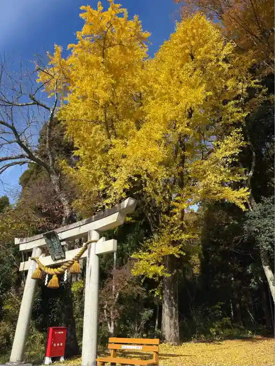 安楽寺釈迦堂(滋賀県)