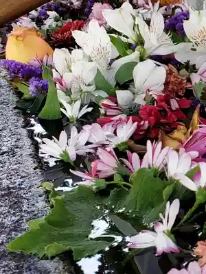 鳩森八幡神社(東京都)