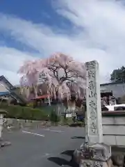 東昌寺(埼玉県)