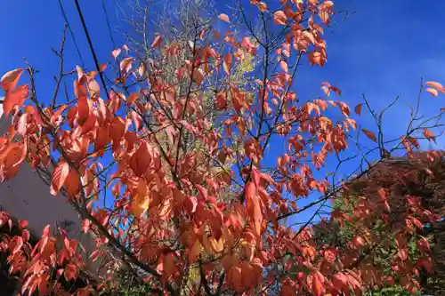 阿邪訶根神社の自然