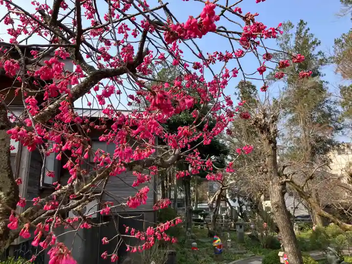 願掛け寺 香林寺(石川県)