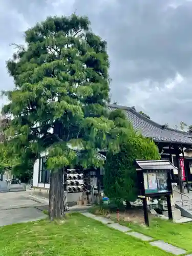 福正院(埼玉県)