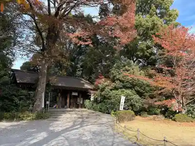 阿佐ヶ谷神明宮(東京都)