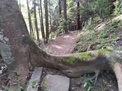 首塚大明神の{uncategorized: "未分類", other: "その他", undefined: "問題あり", building: "その他建物", grave: "お墓", sacred_gate: "鳥居", guardian: "狛犬", statue: "像", buddha: "仏像", history: "歴史", nature: "自然", garden: "庭園", animal: "動物", pagoda: "塔", temizu: "手水舎", mountain_gate: "山門・神門", sanctuary: "本殿・本堂", subordinate: "末社・摂社", art: "芸術", scenery: "景色", jizo: "地蔵", ema: "絵馬", goshuin: "御朱印", omikuji: "おみくじ", items: "授与品その他", amulet: "お守り", goshuincho: "御朱印帳", eats: "食事", festival: "お祭り", votive_dance: "神楽", shichigosan: "七五三参", wedding: "結婚式", experience: "体験その他", initially: "初詣", around: "周辺", anti_infection: "感染症対策"}