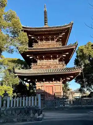 甚目寺(愛知県)