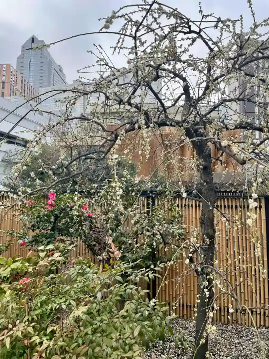 西応寺の{uncategorized: "未分類", other: "その他", undefined: "問題あり", building: "その他建物", grave: "お墓", sacred_gate: "鳥居", guardian: "狛犬", statue: "像", buddha: "仏像", history: "歴史", nature: "自然", garden: "庭園", animal: "動物", pagoda: "塔", temizu: "手水舎", mountain_gate: "山門・神門", sanctuary: "本殿・本堂", subordinate: "末社・摂社", art: "芸術", scenery: "景色", jizo: "地蔵", ema: "絵馬", goshuin: "御朱印", omikuji: "おみくじ", items: "授与品その他", amulet: "お守り", goshuincho: "御朱印帳", eats: "食事", festival: "お祭り", votive_dance: "神楽", shichigosan: "七五三参", wedding: "結婚式", experience: "体験その他", initially: "初詣", around: "周辺", anti_infection: "感染症対策"}