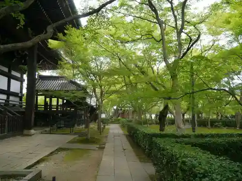 真正極楽寺（真如堂）の庭園