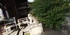 熊野神社の狛犬