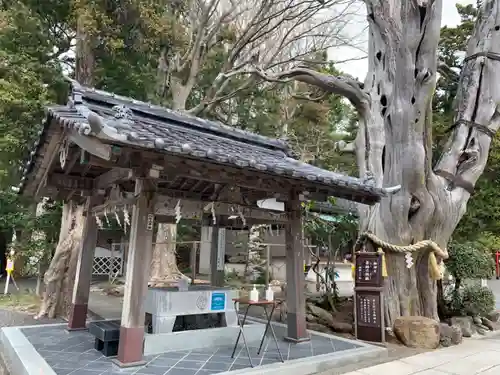 伊古奈比咩命神社の手水