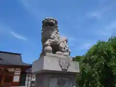 武井神社の狛犬