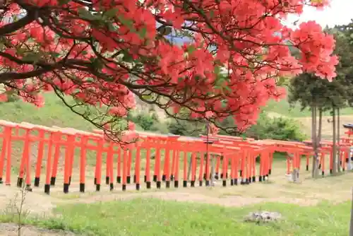 高屋敷稲荷神社の鳥居